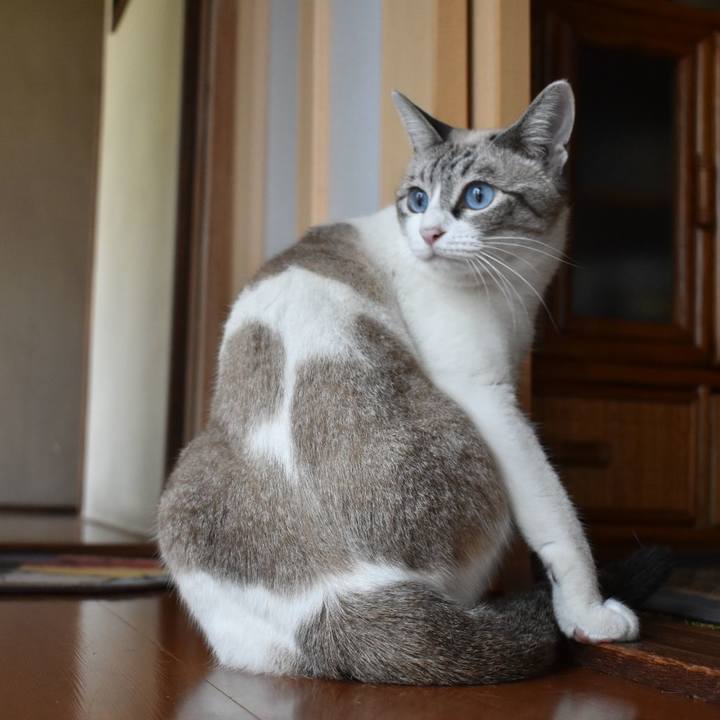 E4967287 712a 4552 9e8b 935a46d2f9c5 1532047916753