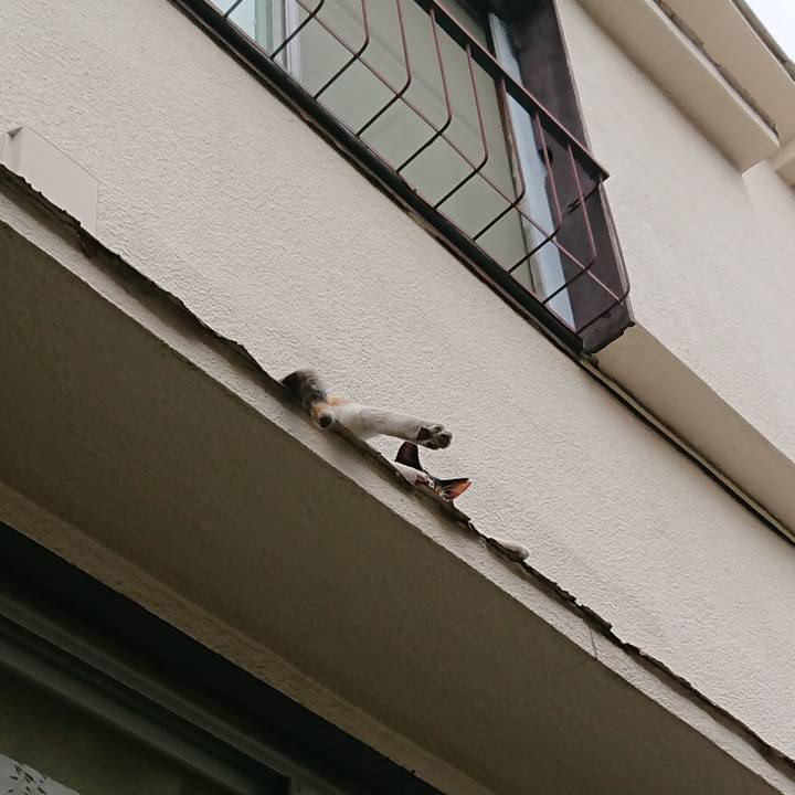 E496940c 8cc5 4a59 974d 28f33704884f 1570057907150