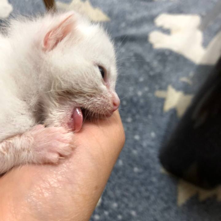 E496ab59 7df0 4434 b848 e6abb4b575a4 1590839124528