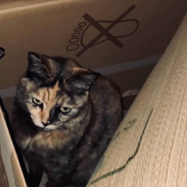 E496d899 a0be 43f0 b710 cce61caf59c8 1742676051706