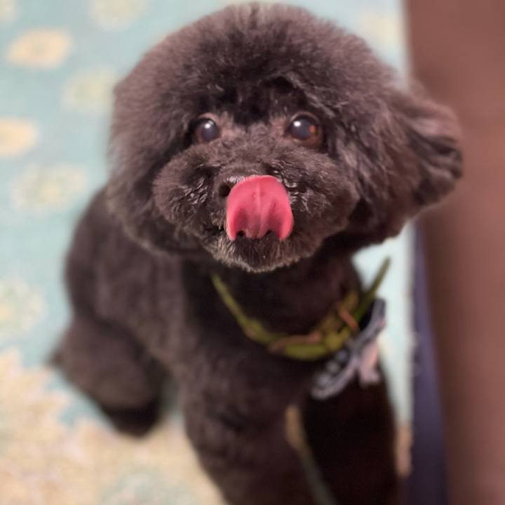 E496dbfe 931b 40f5 94c8 b5dda358cab2 1620472853989