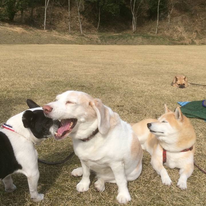 E4973dc7 96b9 4c5c 8008 bcba80265f18 1636302450821