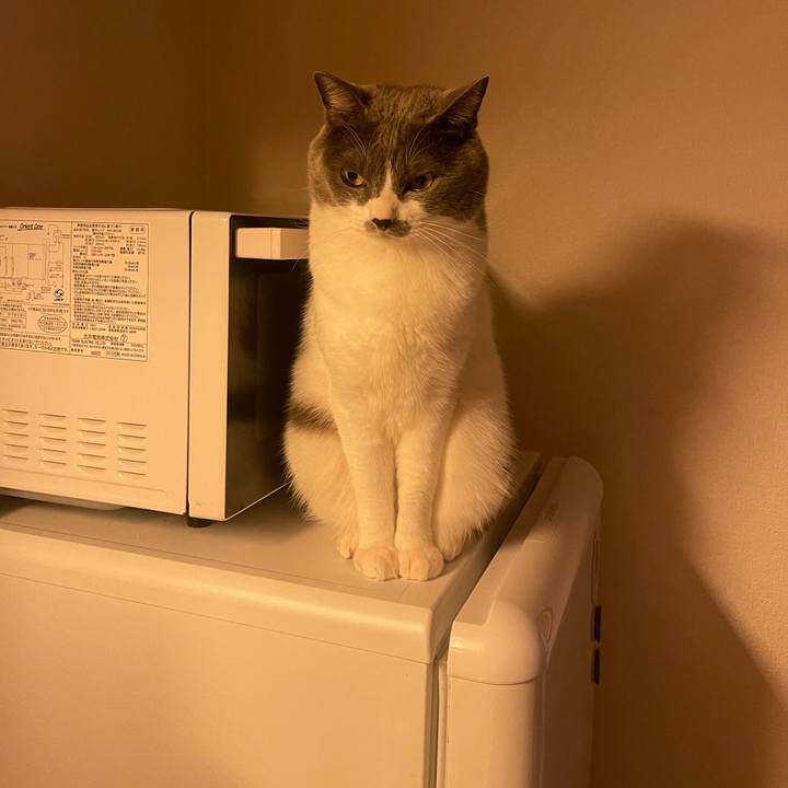 E49746a1 913f 4b61 9473 6d1c075b6282 1703067400541