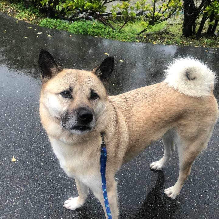 E4977374 baa2 4730 83d6 7a1f54a4dbda 1585319838546