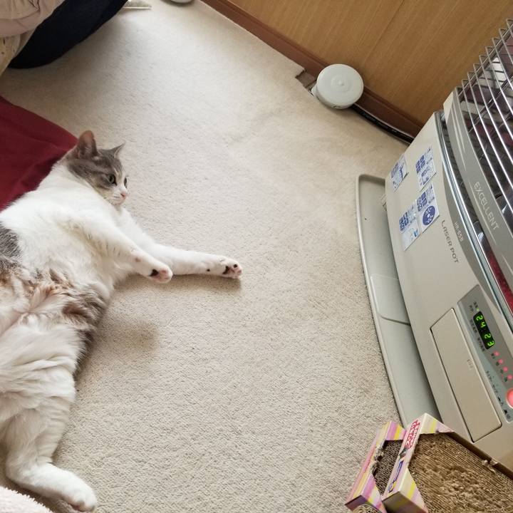 E4978bd4 bf79 47a1 a8c6 70552b8150e9 1653349017670