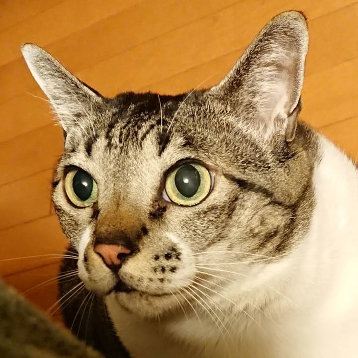 E49791aa 6ab8 46da 930d 4363b2691c3d 1550282000546