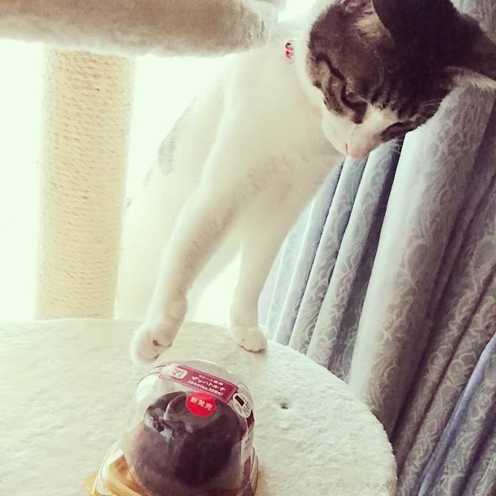 E4979364 fb6a 47c9 b6cc 84b58cc8a640 1509860842854