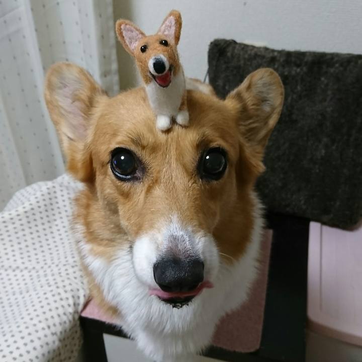 E497a5e2 3195 44a7 b04b 0fd7c92310b5 1532686494955