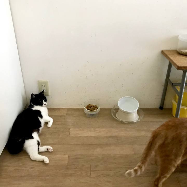 E497b09d 3aff 4d6f b3ba 4d7b3179a32b 1526458424056