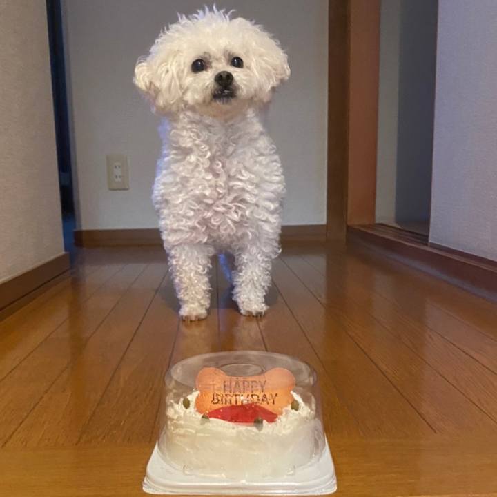 E497c699 ef1b 46ea a7c2 3c641d6def68 1644145427228