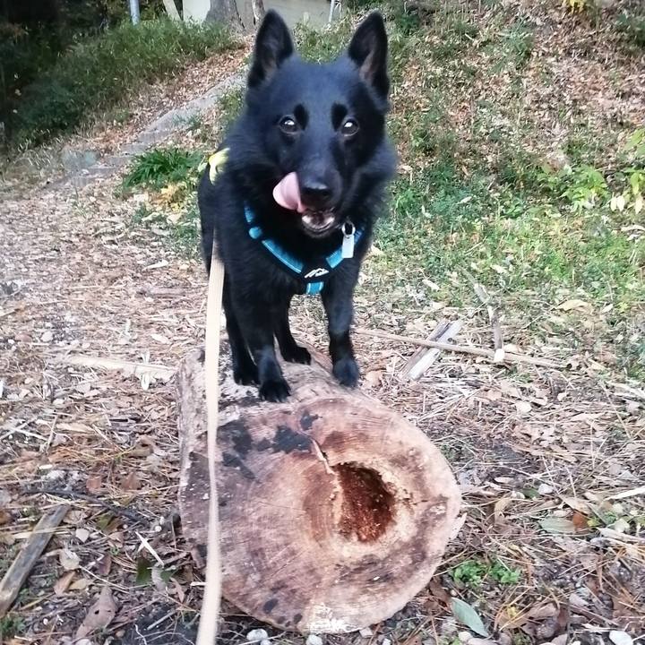 E497d4c3 0a2f 46e1 87a6 97264c3f9d0a 1639432999331