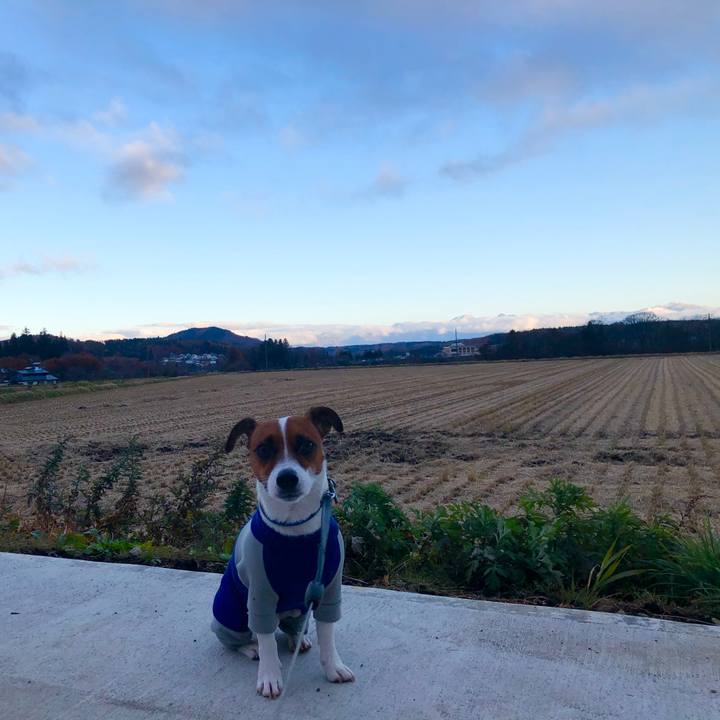 E49833ae ea54 4125 b0f3 f362d1dc9fd2 1574328235665