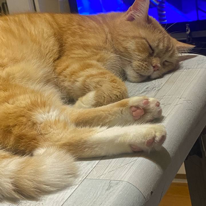 E498494f 4d28 4290 8bd7 5f084e6398d8 1635634886759