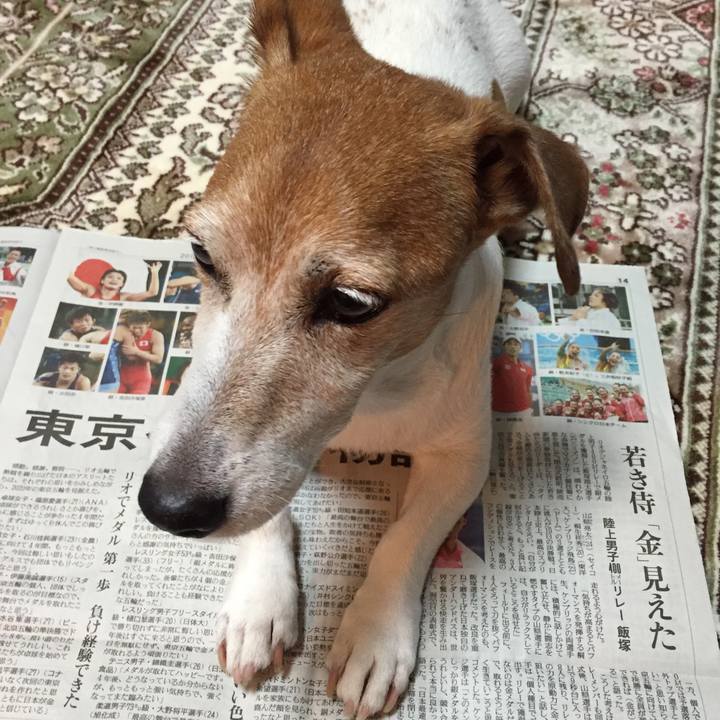 E49862e2 6cbb 463e a98d 9227b76ccc47 1597058149234