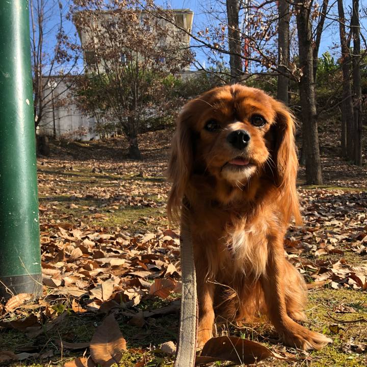 E4986c7f c682 4a1f b56c 55b44a5e9670 1577944931167