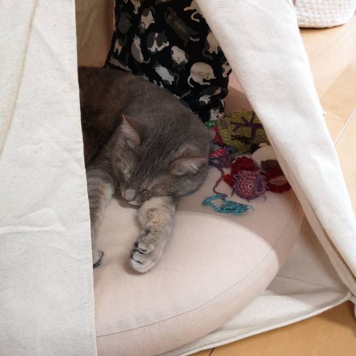 E4988385 b84b 4a5b b3ed c05284191093 1567153641833