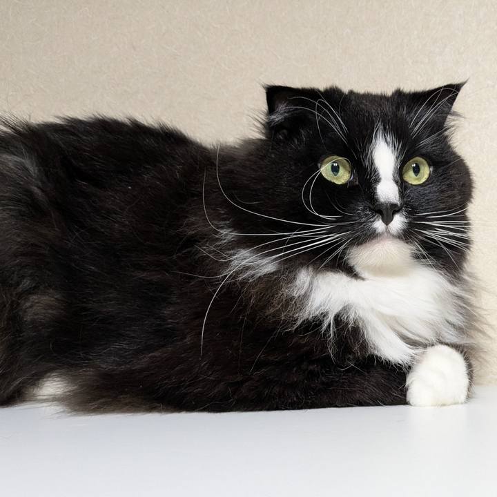 E498b957 1b92 4632 9a1b 327931e11546 1745529540636