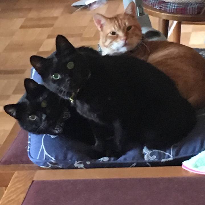 E498c2f7 a1fd 4f98 9b10 14d0ed8d025f 1532355028232