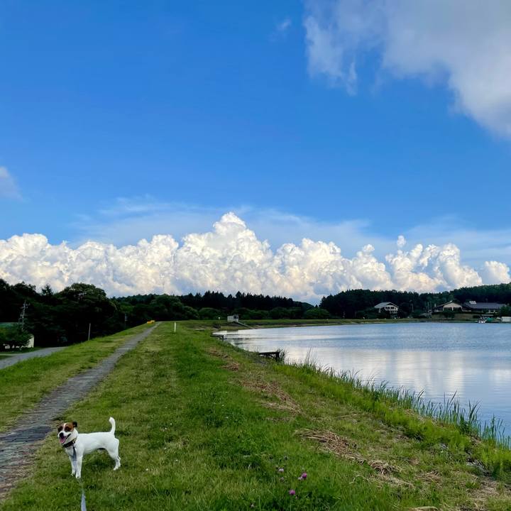 E498d576 514b 45c5 821f e40b6d60a032 1659092224896