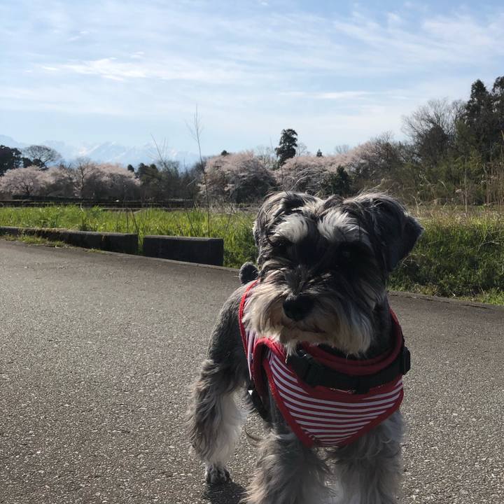 E498e7db d994 42b9 a63f e47d929741a5 1586347273719