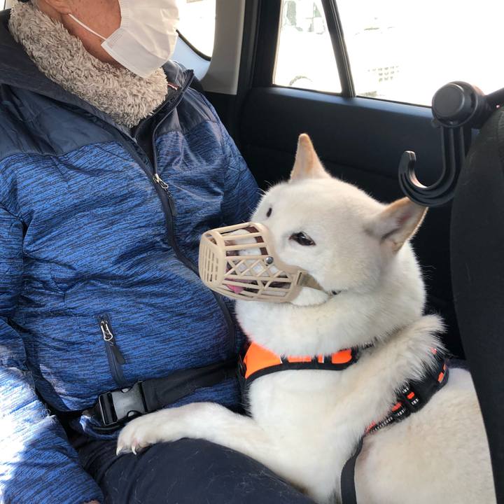 E498ebcc e218 4b5b 8428 34bcd118a6ad 1615604359304