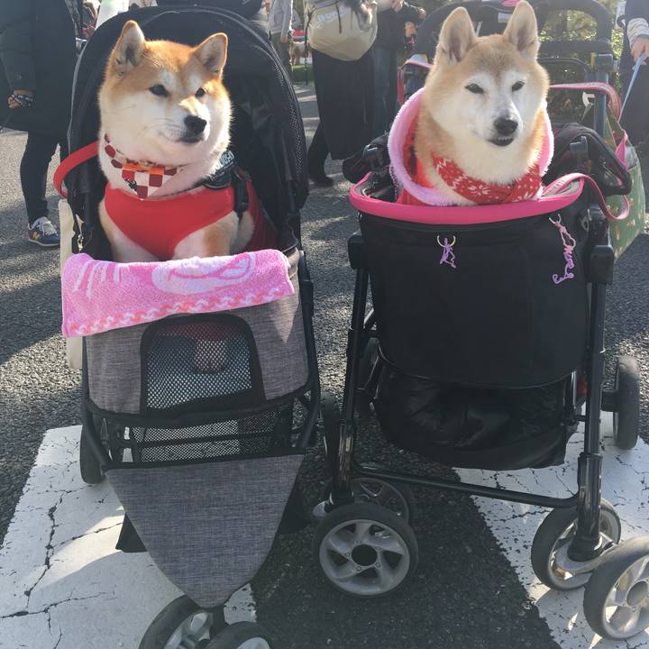 E499042a 323e 419b 869a 66599ceddba5 1575196777950