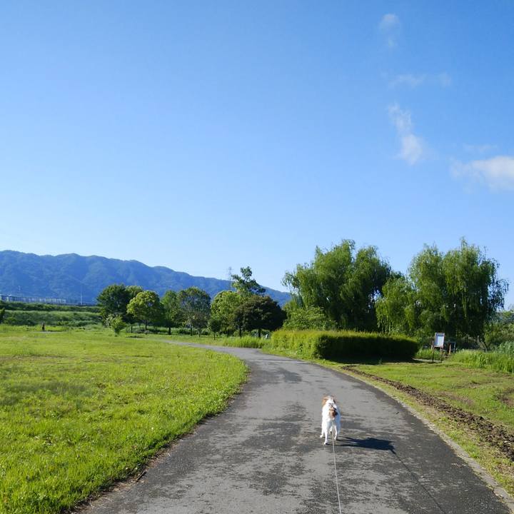 E4990a93 a65c 481a 9710 b3f3aff14a7a 1527120402834