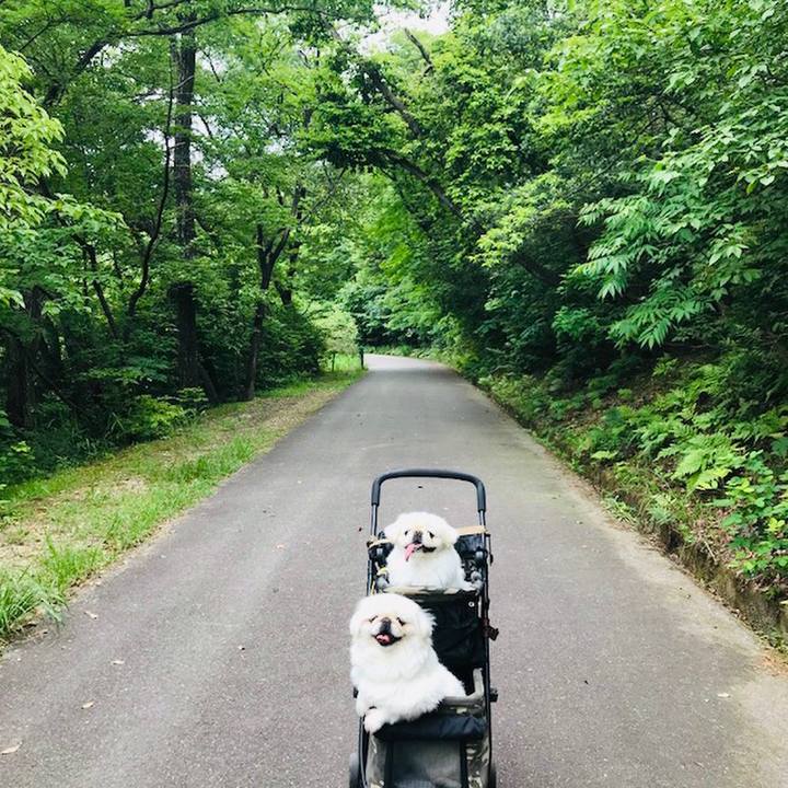 E4993576 a195 4aff 91c6 7afcf51eb4a9 1622631287205