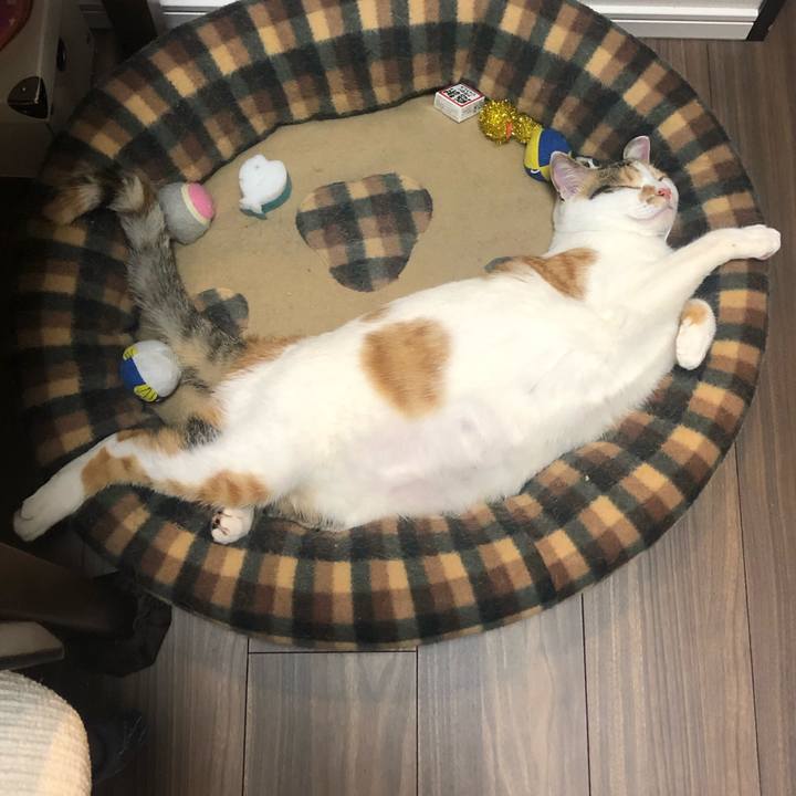 E499433b 8507 4d13 9f7a 6b3f649ddc10 1588508576531