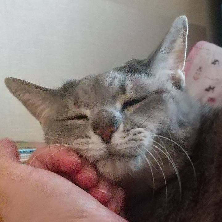 E4994cb3 4a0d 44d4 bc01 810bc93c0332 1643012975420