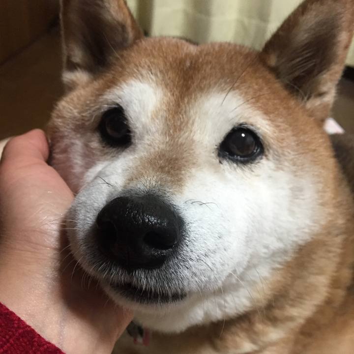 E4995cc4 1064 42da 9fbd bba80424a516 1518188788081