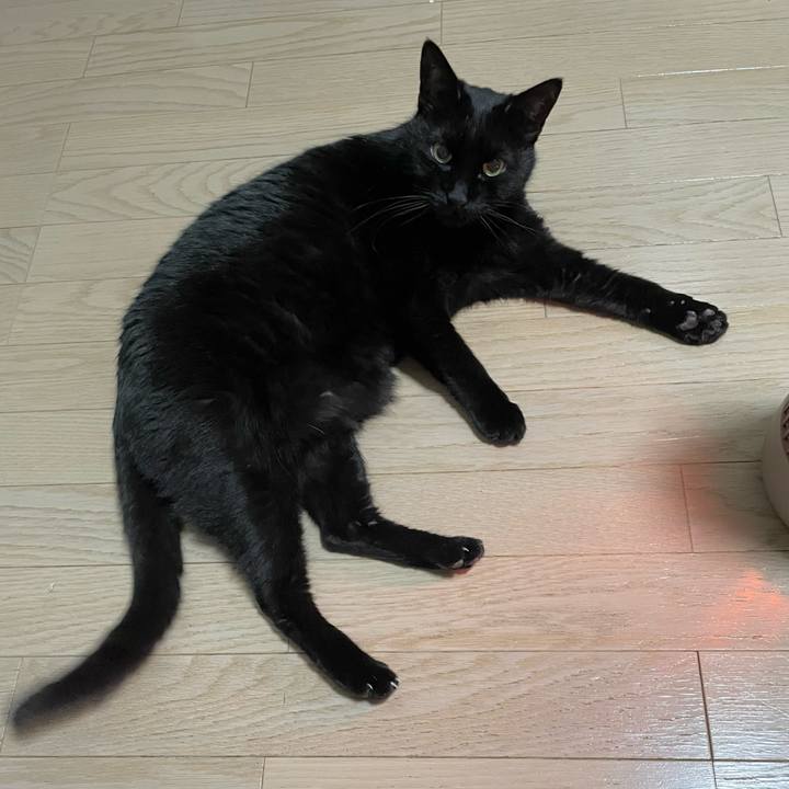 E499bae3 cbbc 416f 8d1e f26353f039bc 1772791167177