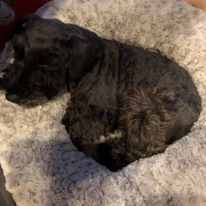 E499d20f 1678 48d2 a467 45af23f45377 1543241236484