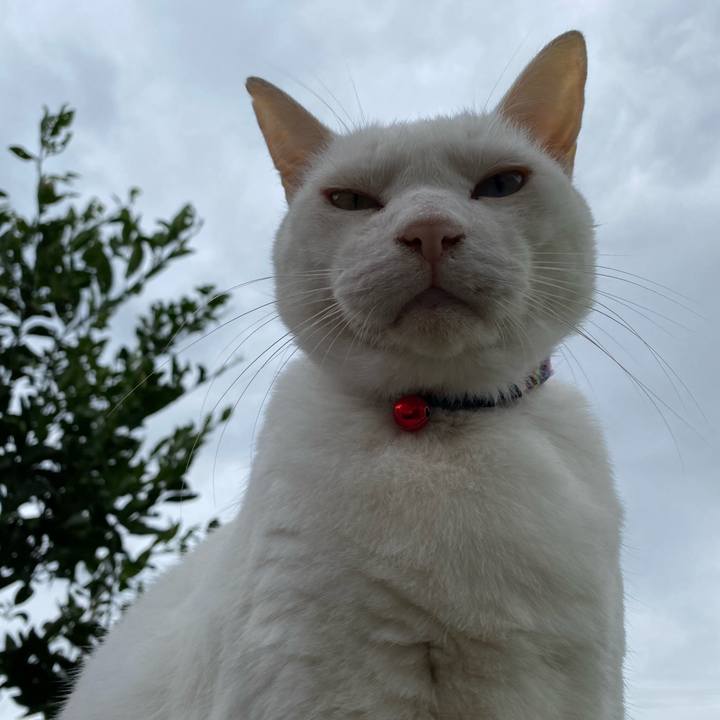 E49a12d6 e447 4029 afae 77d1bb88b689 1632544238491