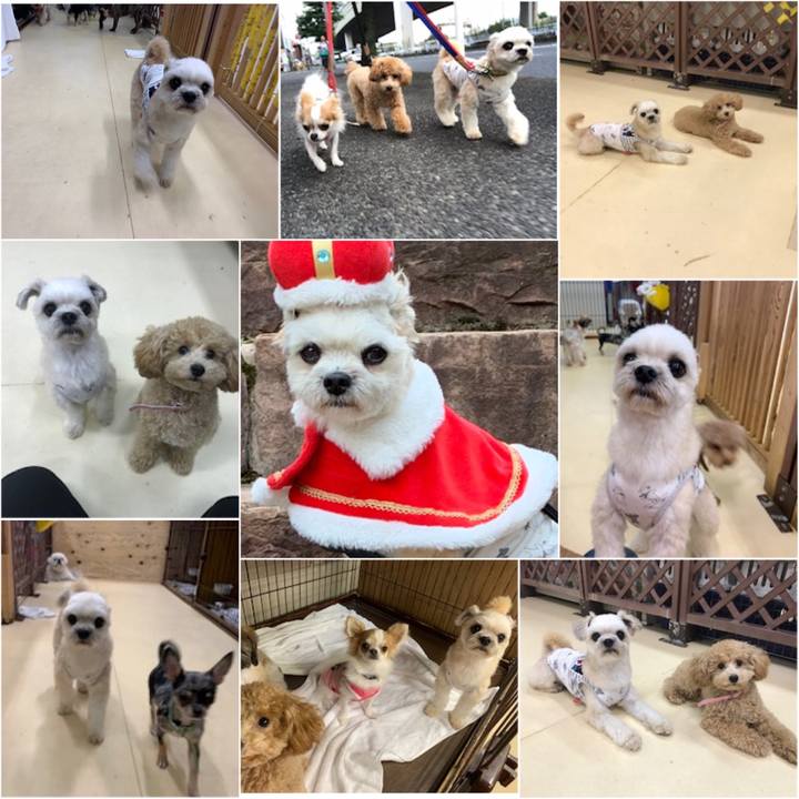 E49a475c 0a27 4cc2 9afa 263240ff5458 1567074302948