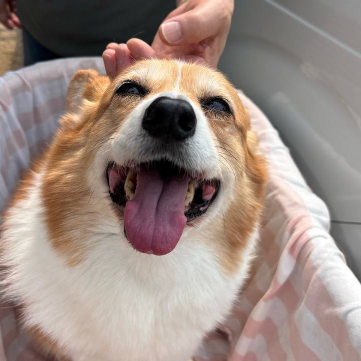 E49a4fc3 165d 41c1 bc65 3fd3d9cb1290 1744336920046