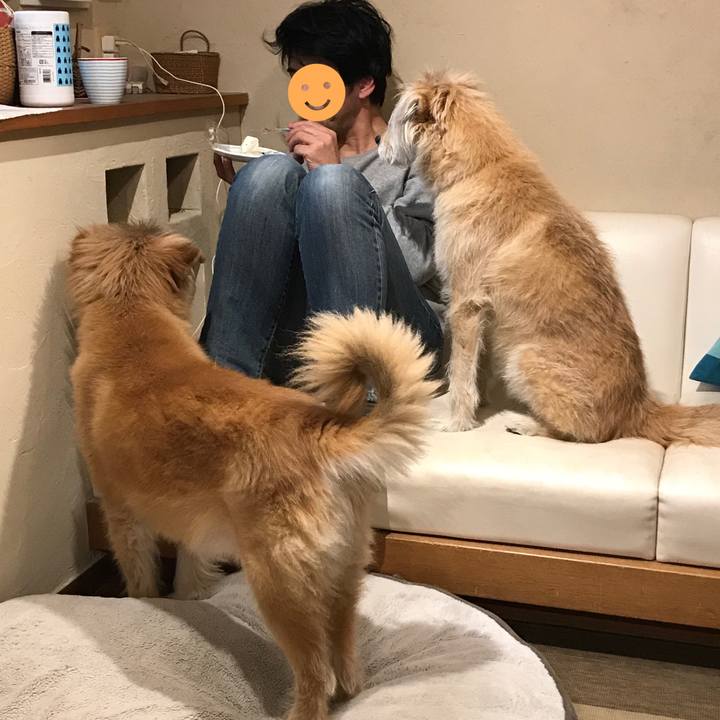 E49a832e 043f 466b 95b1 679bc6277f65 1606433959281