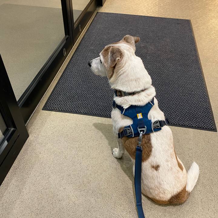 E49a9d91 8c72 4bcd 8cd8 03d1d2d2cc63 1646124608270