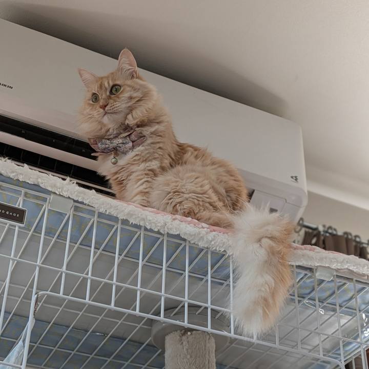 E49aa336 c73e 4faf ba64 ad52b97055bc 1736315216490