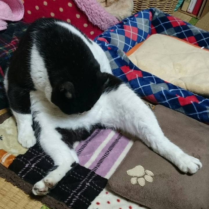 E49ab451 afed 45a2 abcc ddcf1441dc5c 1520685233004