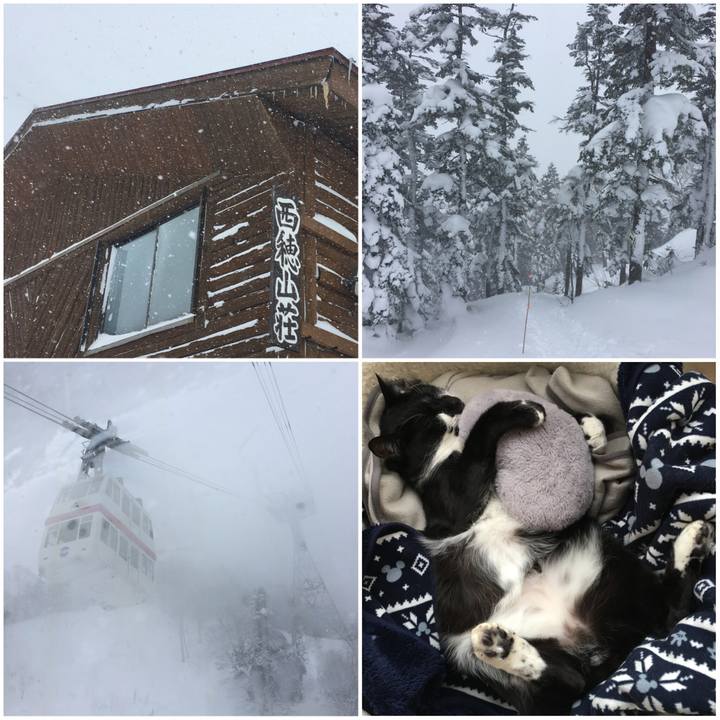 E49ac8e4 d0f8 479b 9a6d 765c39d3e1ce 1515218614315