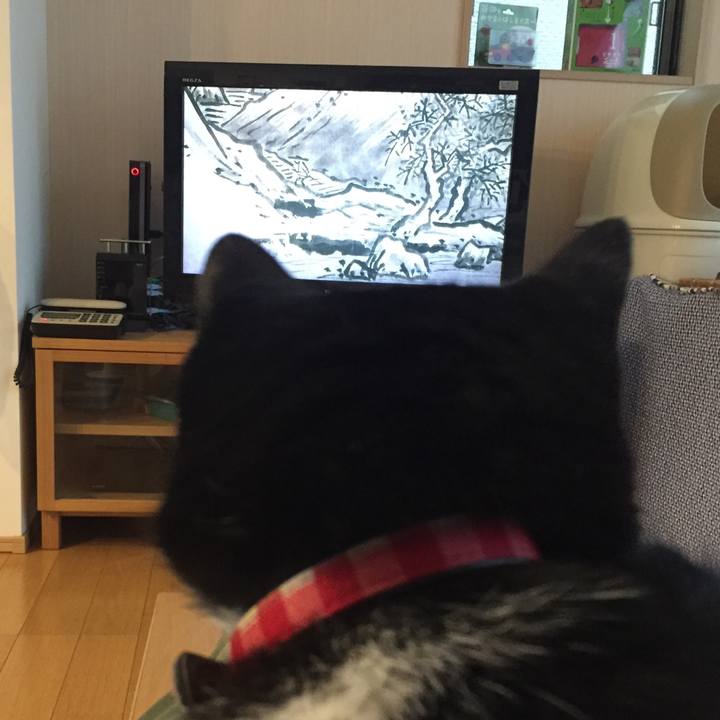 E49af6b3 120a 48ba a45b 3cad4a805847 1508634264361