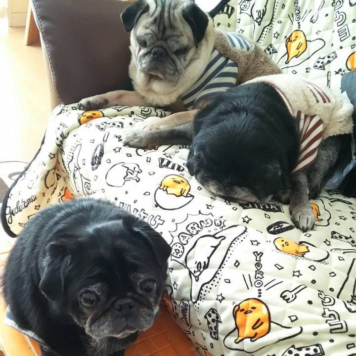 E49afe7e 4b49 4e1f b24f 4dca4b447dfa 1539307635975