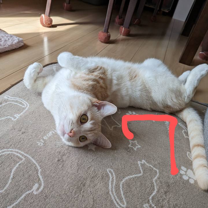 E49b045b 4175 4f21 ade0 baa03bd61f46 1687604572723