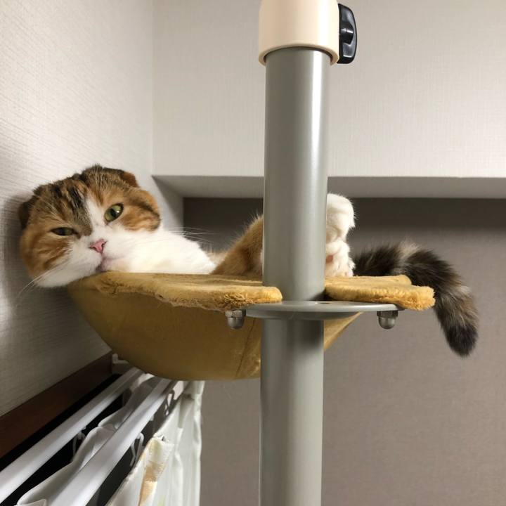 E49b0f1e 9b44 41a1 b2ae c4e3b8699a08 1565617471681