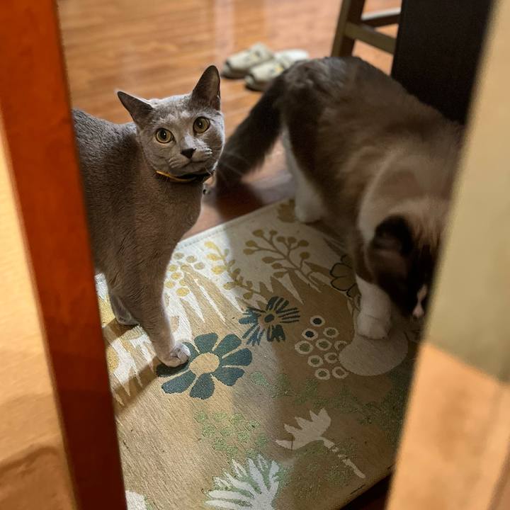 E49b24f9 236a 4fdf 82fe 7921a65e484a 1643838285689