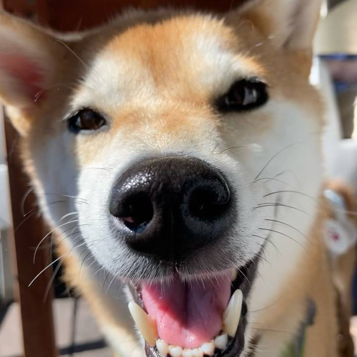 E49b2b7a 10bb 472b afff 63ef12b52131 1728855084594