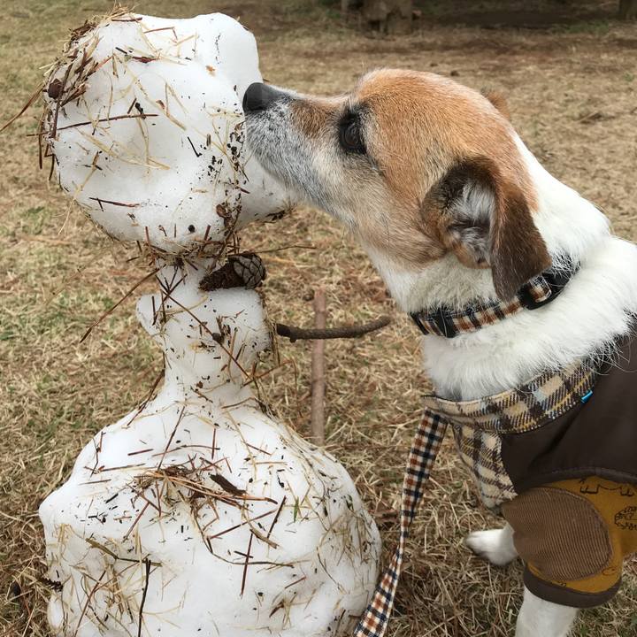 E49b401d 1001 4e38 8e07 8a02aed42dd5 1585554003481