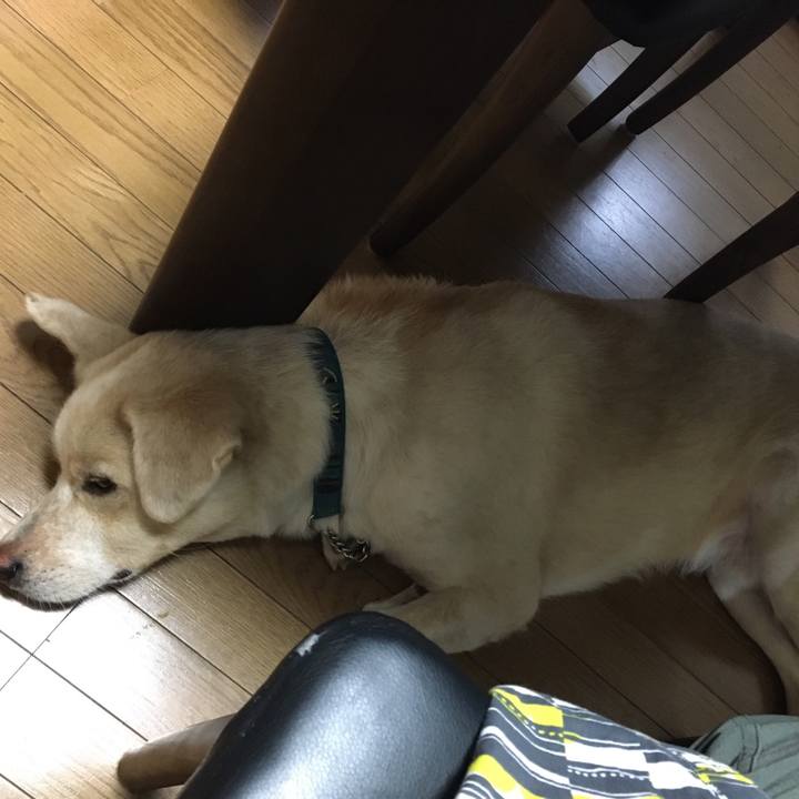 E49b7ea7 280c 48d6 968d ce601c775441 1530744904349