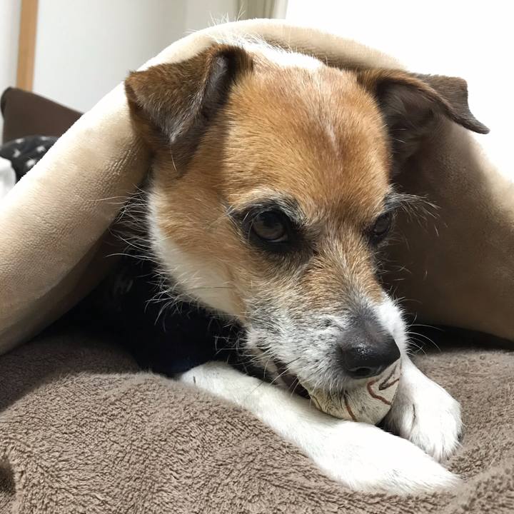 E49b80c2 5968 4c7b b96a b2f990153286 1549416537549